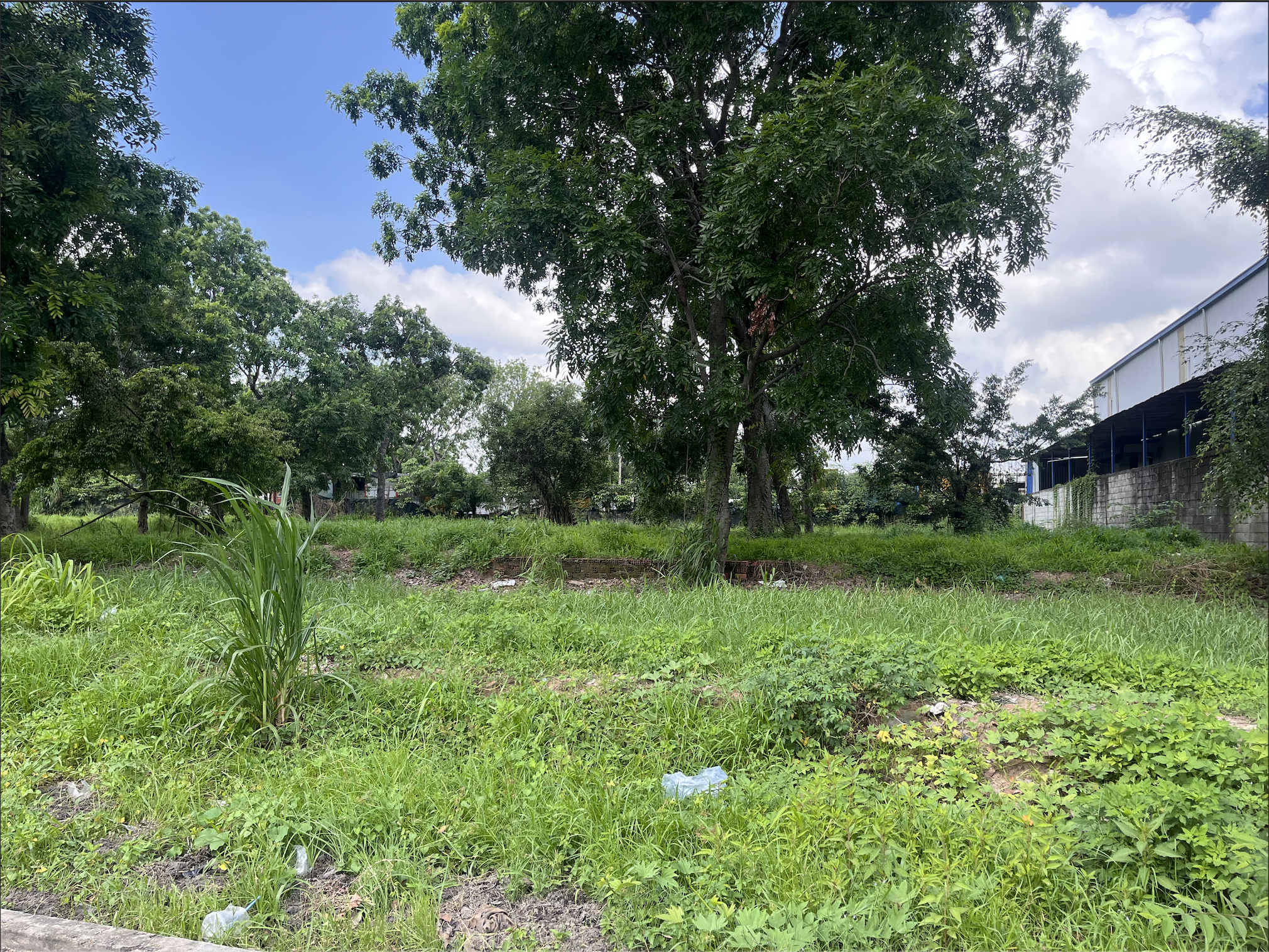 Bán Đất TMDV Vị Trí Vàng Trung Tâm Dĩ An – 4.400m², Sổ Sẵn, Giá Tốt
