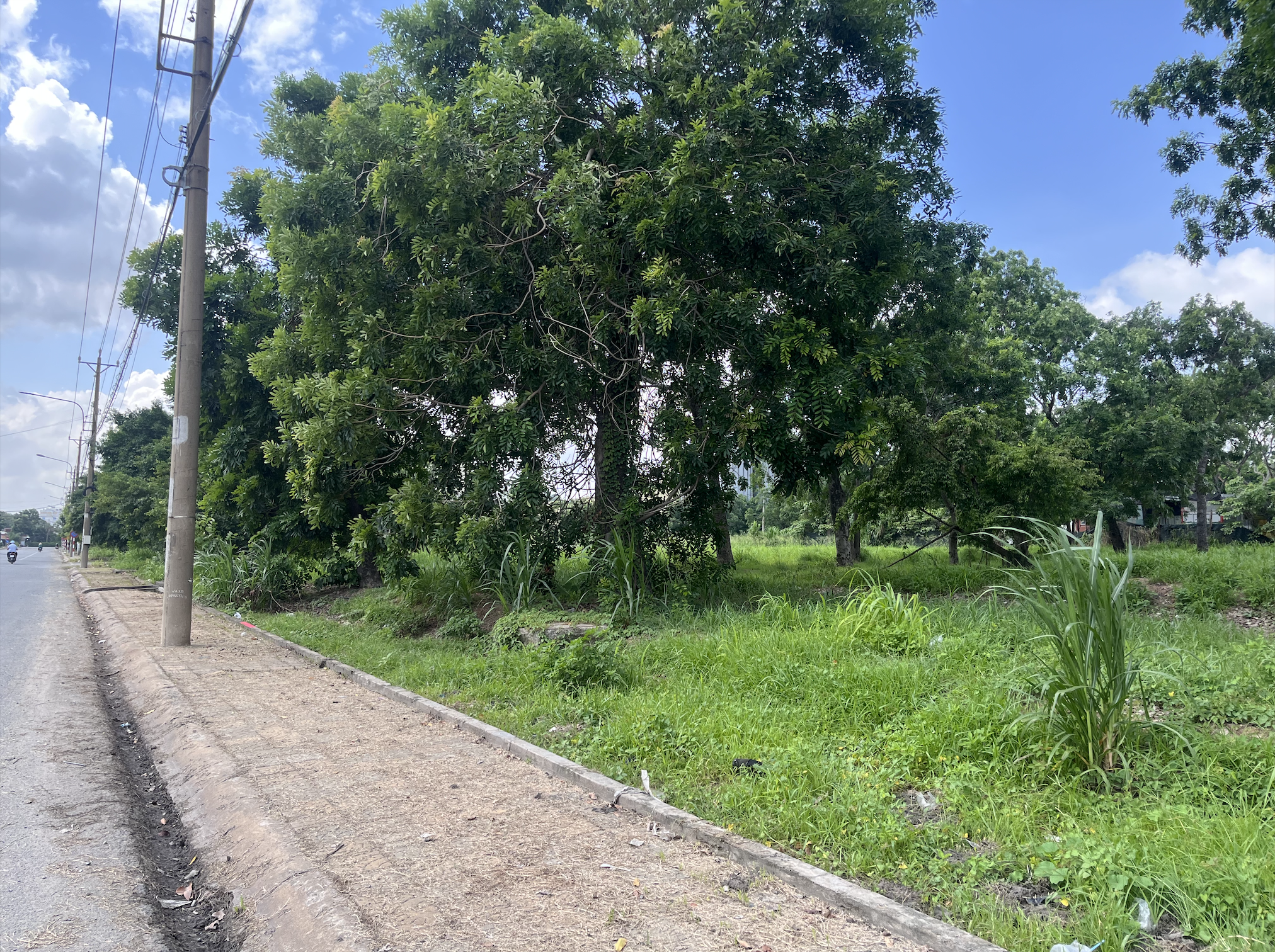 Bán đất TMDV Dĩ An 2