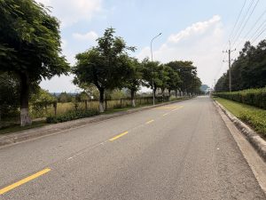 Bán Đất Tại Kcn Vsip 2 - Tphcm (Bình Dương Cũ) | Diện Tích Hơn 12.089M2, Pháp Lý Rõ Ràng, Sẵn Sàng Xây Dựng Nhà Xưởng 3 bán đất tại kcn vsip 2 - tphcm (bình dương cũ) | diện tích hơn 12.089m2, pháp lý rõ ràng, sẵn sàng xây dựng nhà xưởng-2
