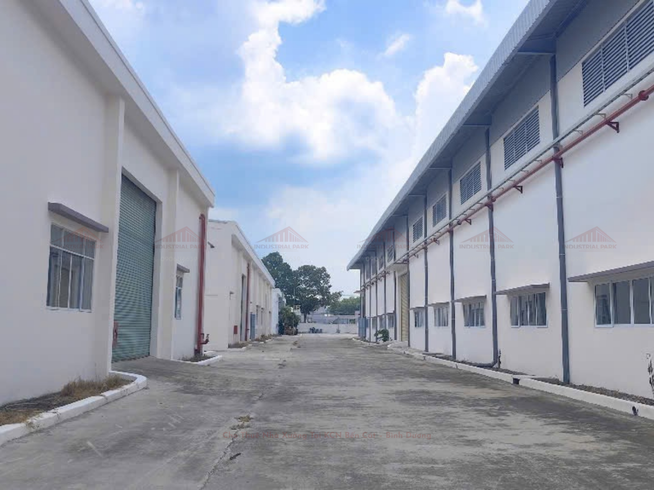 Cho Thuê Nhà Xưởng Tại KCN Bến Cát – Bình Dương | 30.000m² Đất, 15.600m² Xưởng, PCCC Tự Động, Khuôn Viên Riêng, Sẵn Sàng Vận Hành-1